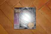 TNT / Intuition - 1989 / JAPAN
