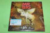 MR.BIG / What If  - 2010 / JAPAN