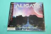 ALICATE / Heaven Tonight - 2024 / JAPAN