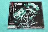 BUSH / I Beat Loneliness - 2025 / JAPAN