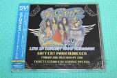 AEROSMITH / Live In Concert - Goffit Park Nijmegen - 1999 / JAPAN