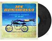 BONAMASSA, JOE / Different Shades Of Blue - 2014 / EU