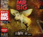 MR.BIG / What If - 2011 / JAPAN