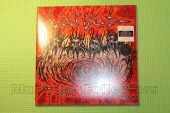 VOIVOD / The Wake - 2018 / Germany