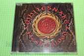 WHITESNAKE / Flesh & Blood - 2019 / USA