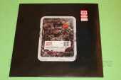 NAPALM DEATH / Apex Predator - Easy Meat - 2015 / Germany