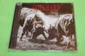 GOTTHARD / #13 - 2020 / Germany
