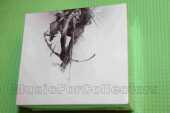 LINKIN PARK / Hunting Party - 2014 / USA