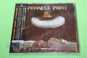 PINNACLE POINT / Symphony Of Mind - 2020 / JAPAN