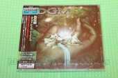 DGM / Different Shapes - 2007 / JAPAN