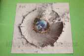 STYX / Crash Of The Crown - 2021 / USA