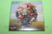 WILDERUN / Veil Of Imaginations - 2020 / JAPAN