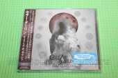 CELLAR DARLING / This is the Sound - 2017 / JAPAN