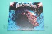 BLACK STONE CHERRY / Screamin' At the Sky - 2023 / EU