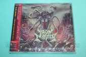 IRONMASTER / Weapons Of Spiritual Carnage - 2023 / JAPAN