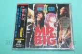 MR. BIG / Raw Like Sushi II - 1992 / JAPAN