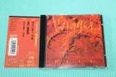 WINGER / Pull - 1993 / JAPAN