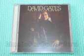 GATES, DAVID / Never Let Her Go - 1975 / USA