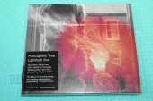 PORCUPINE TREE / Lightbulb Sun - 2000 / EU