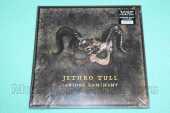 JETHRO TULL / Curious Ruminant - 2025 / Germany