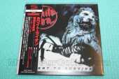 WHITE LION / Fight To Survive - 2026 / JAPAN