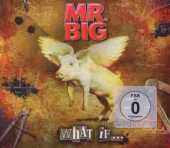MR.BIG / What If … - 2010 / Italy