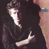 HENLEY, DON / Building the Perfect Beast - 1984 / USA