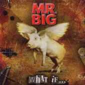 MR.BIG / What If … - 2010 / Italy