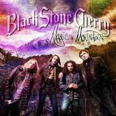 BLACK STONE CHERRY / Magic Mountain - 2014 / USA