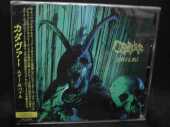 CADAVER / Edder & Bile - 2020 / JAPAN
