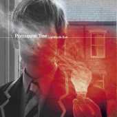 PORCUPINE TREE / Lightbulb Sun - 2008 / EU