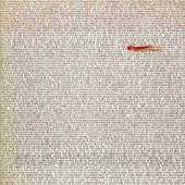 COOPER, ALICE / Zipper Catches Skin - 1982 / Germany