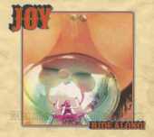 JOY / Ride Along ! - 2016 / USA