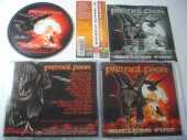 PRIMAL FEAR / Nuclear Fear - 2000 / JAPAN
